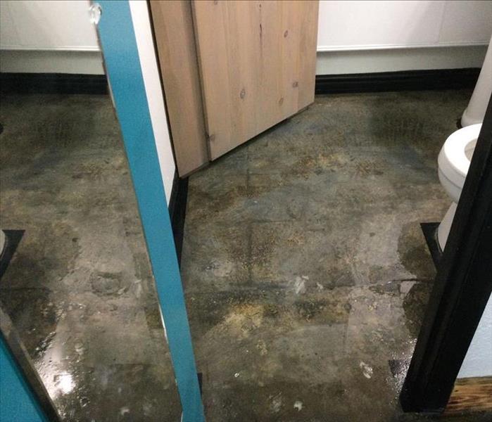 Water Damage Bare Floor